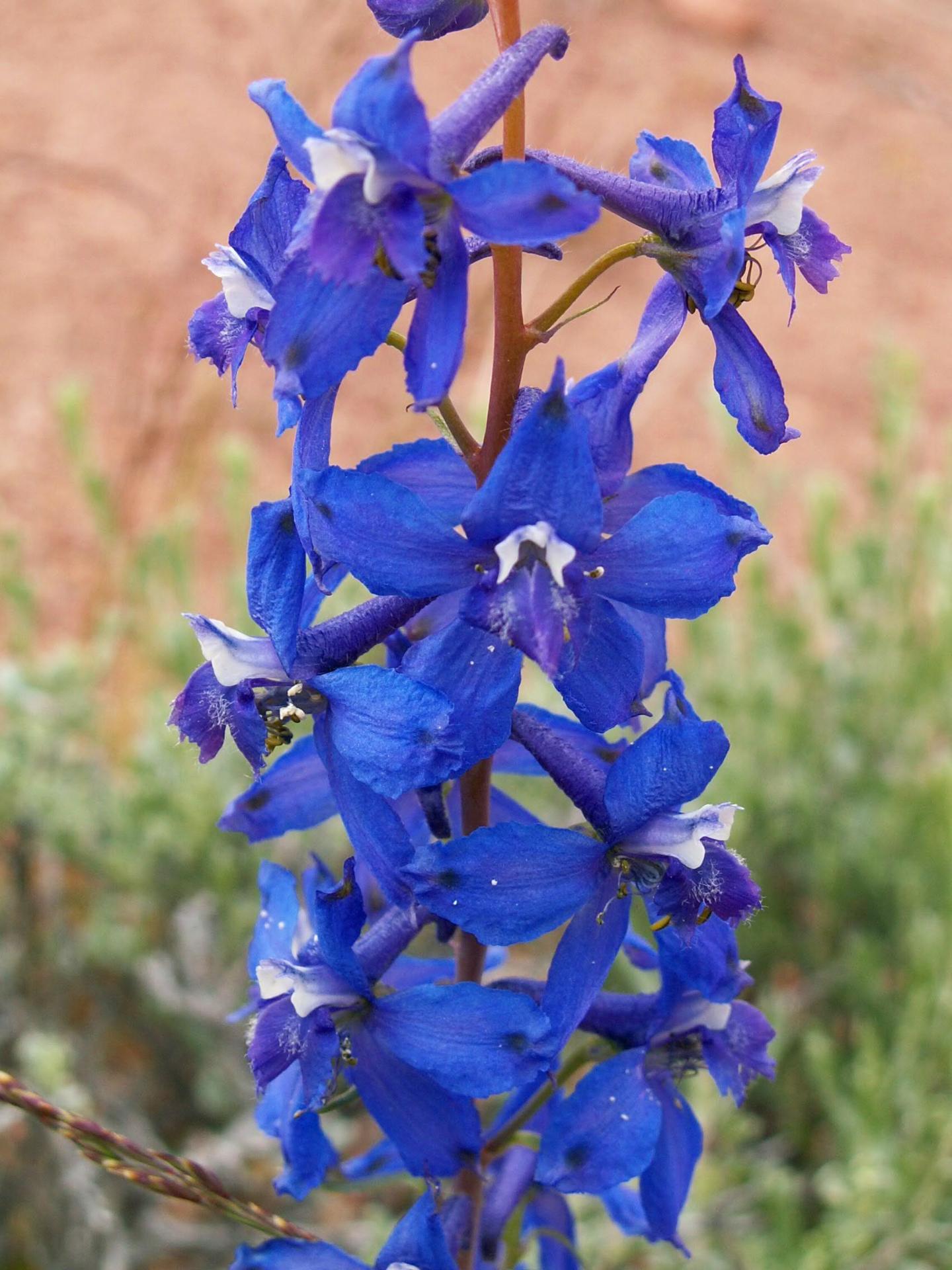 Im20050507m2PICT0071sm