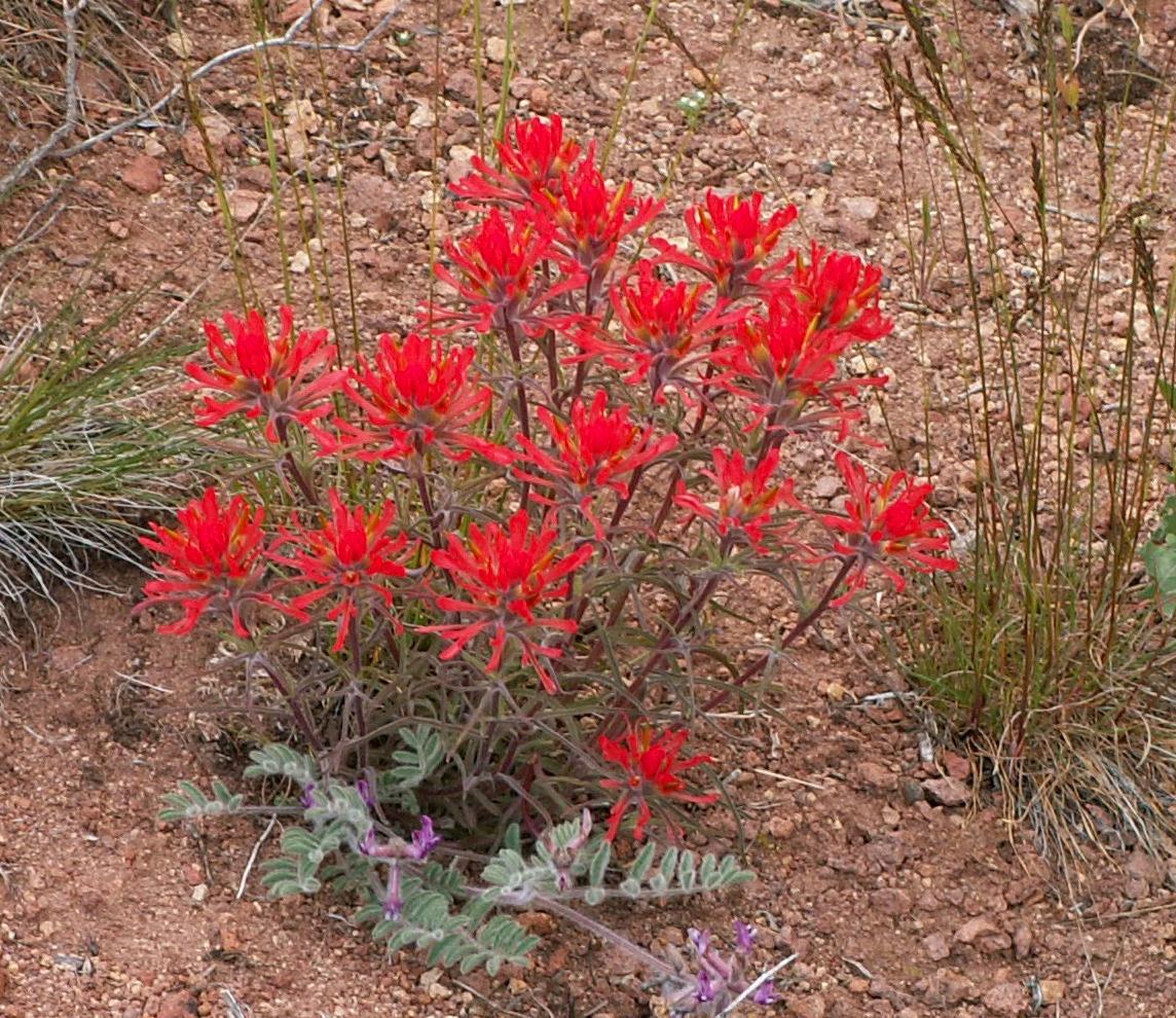 Im20050507m2PICT0078sm