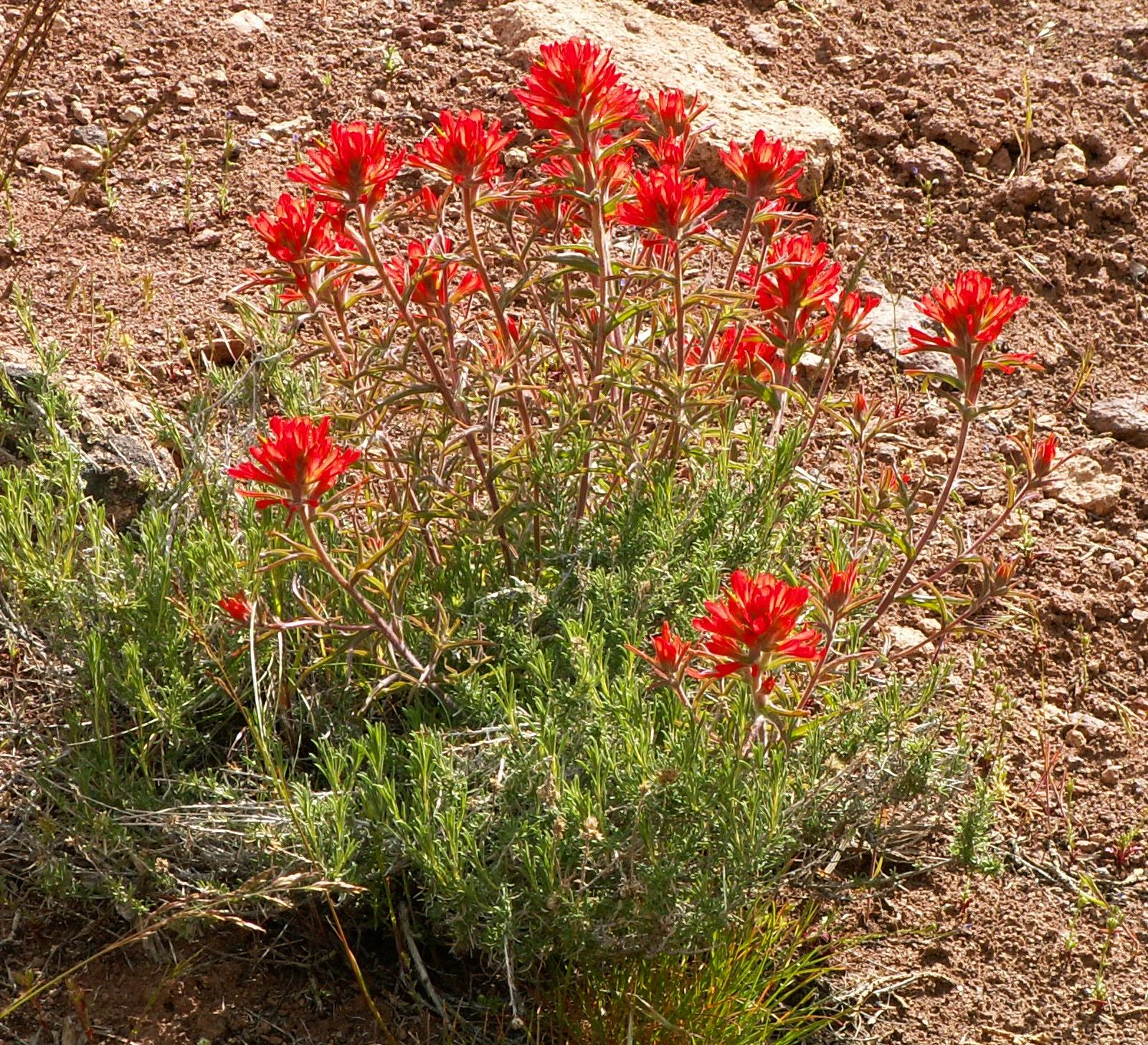 Im20050507m2PICT0093sm