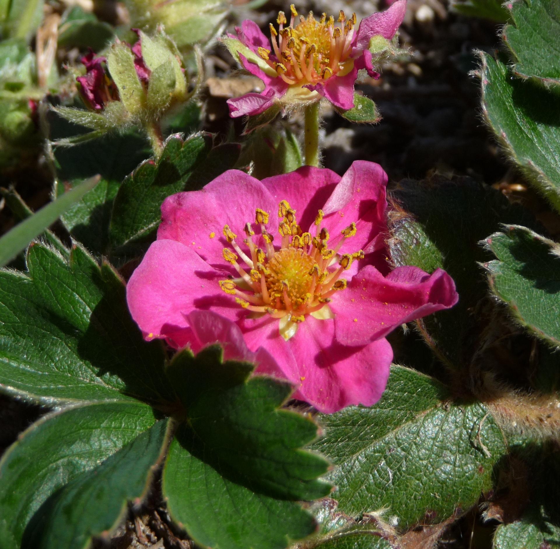 Im20100418pP1120706sm