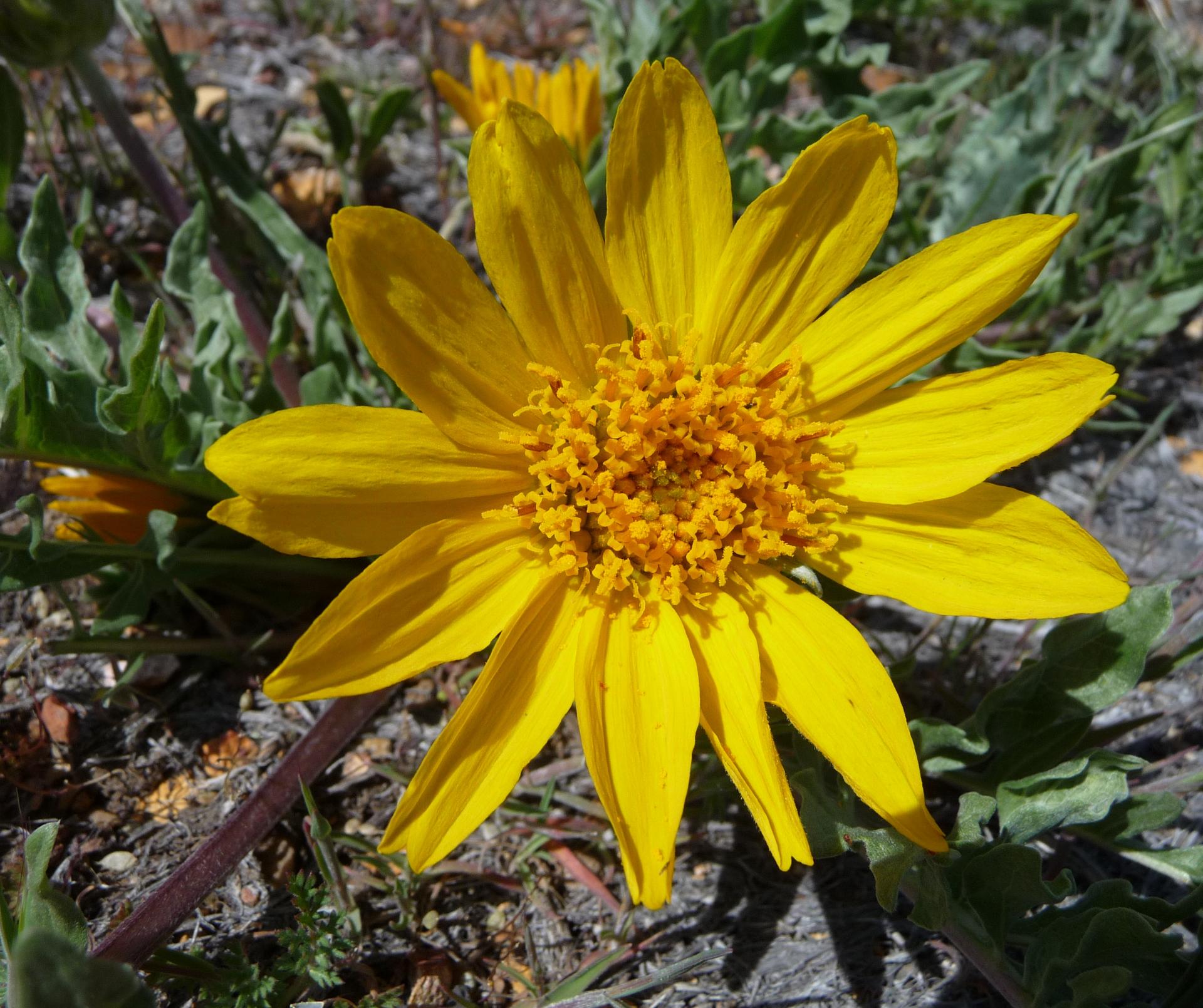 Im20100425pP1120917sm