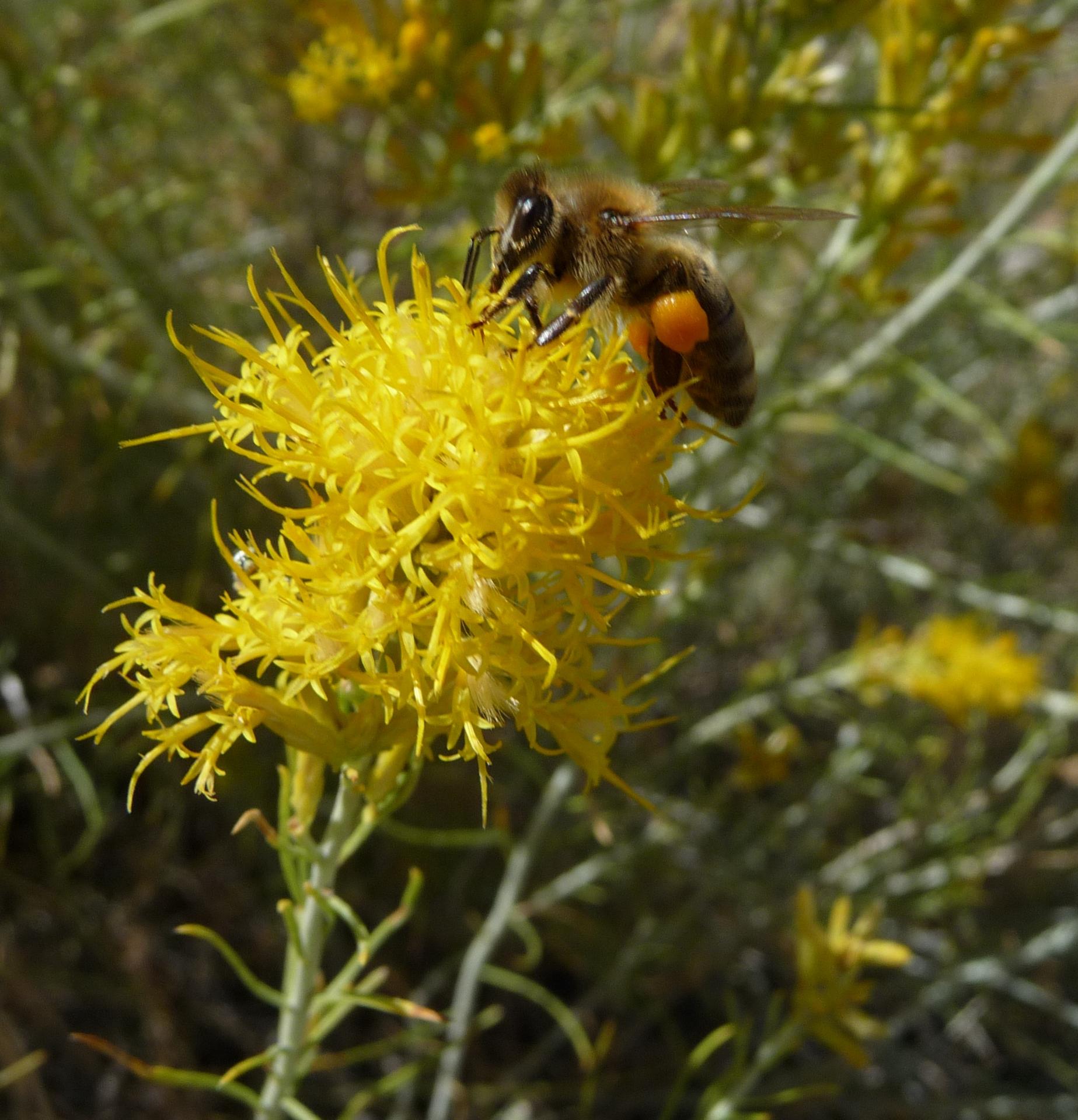 Im20100911pP1160570sm