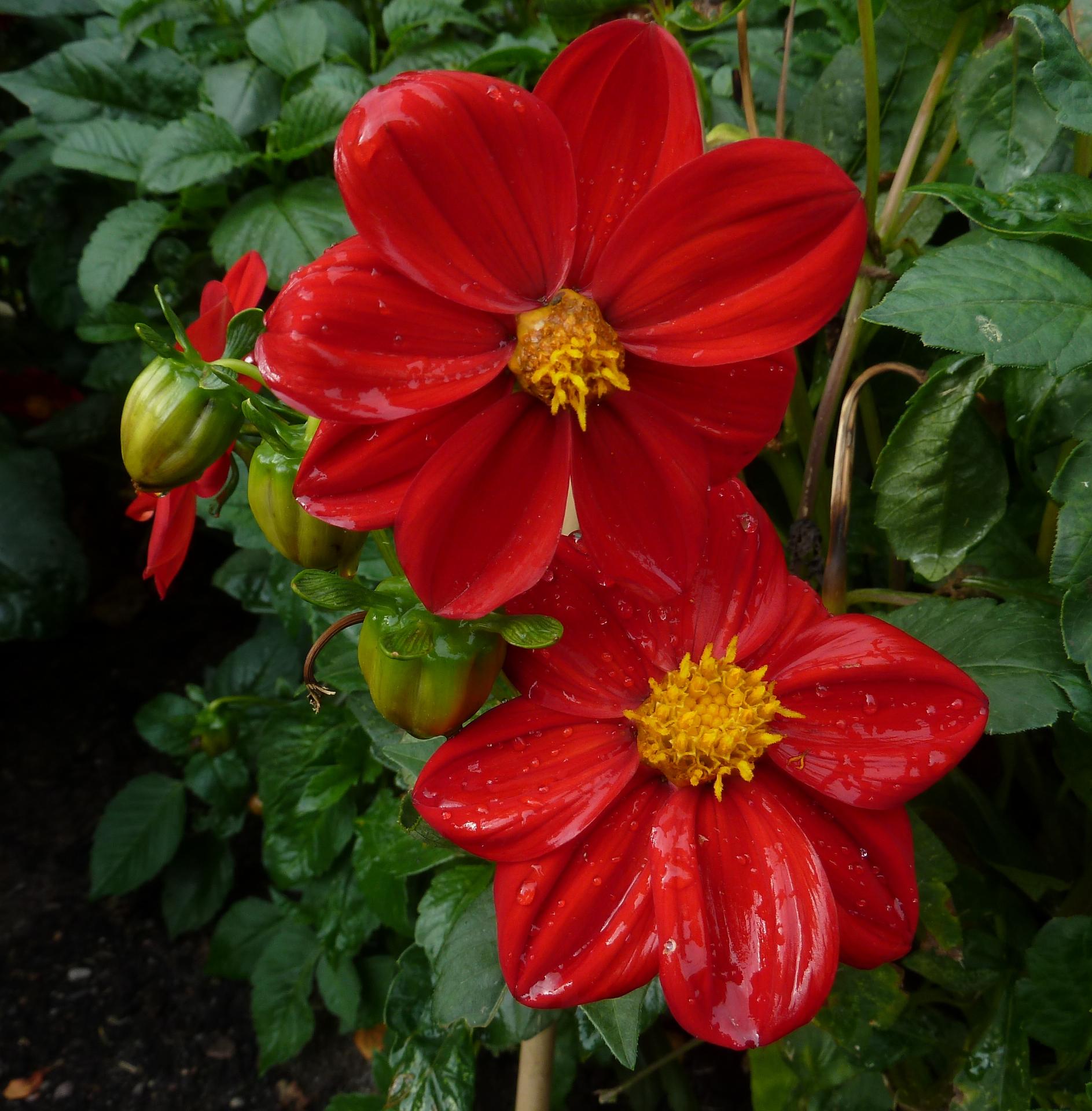 Im20120923pP1080707sm