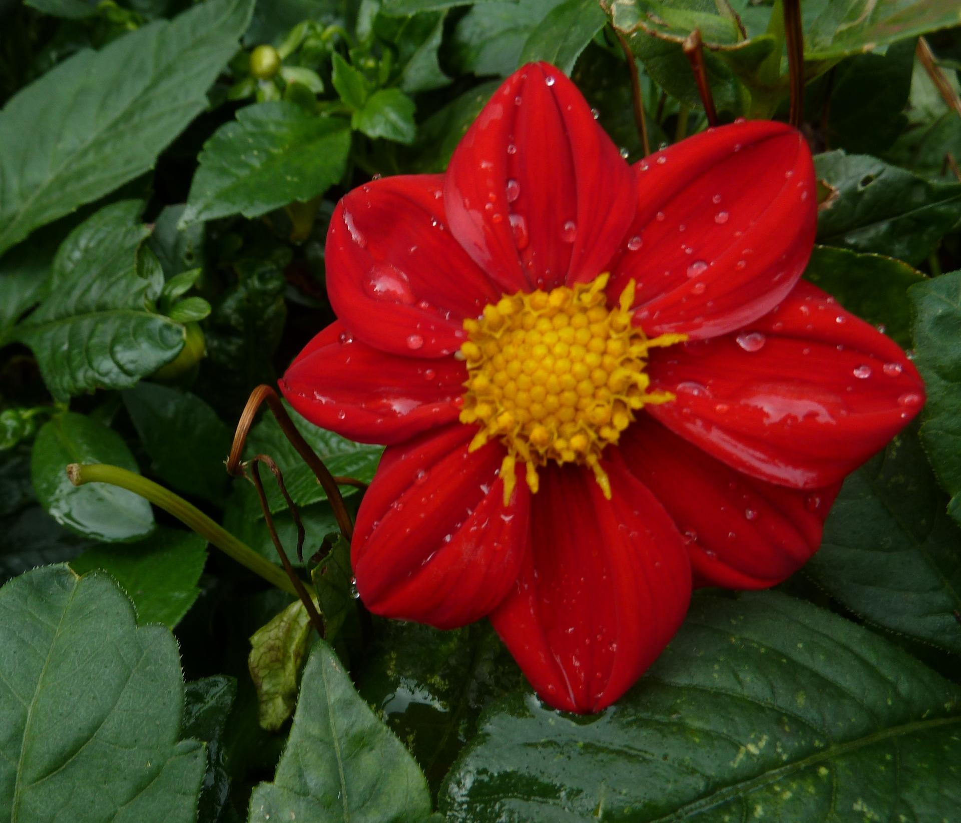 Im20120923pP1080710sm