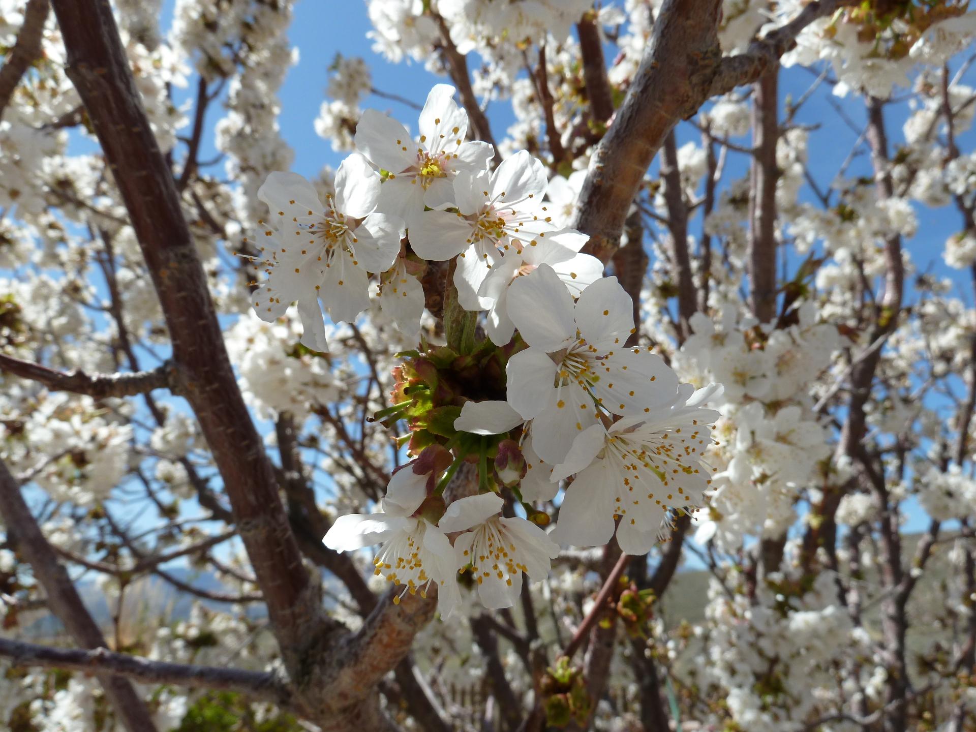 Im20130416cjpP1130122sm