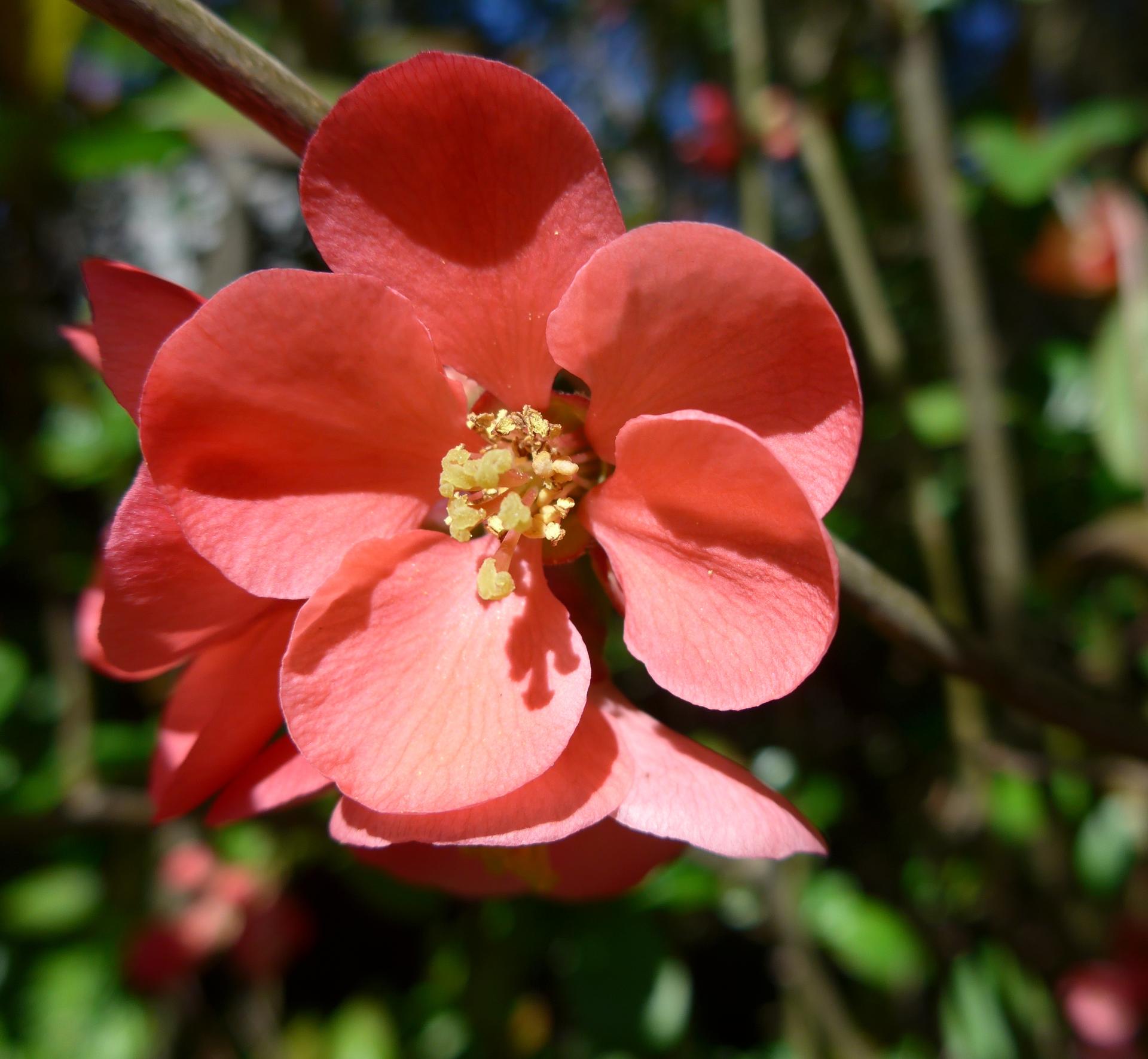 Im20140329pP1040428sm