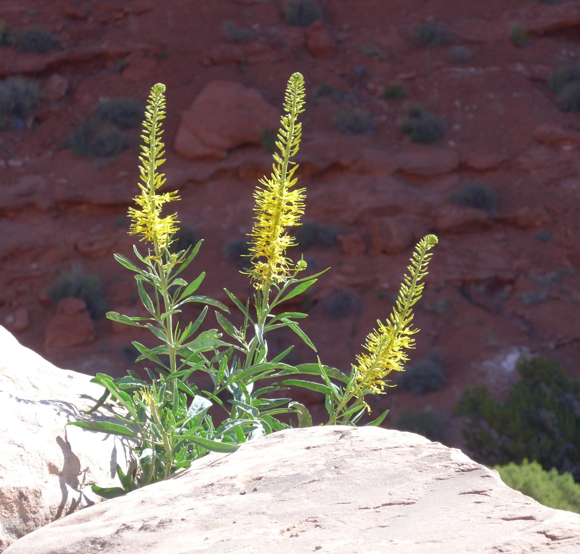 Im20160504pdP1130808sm