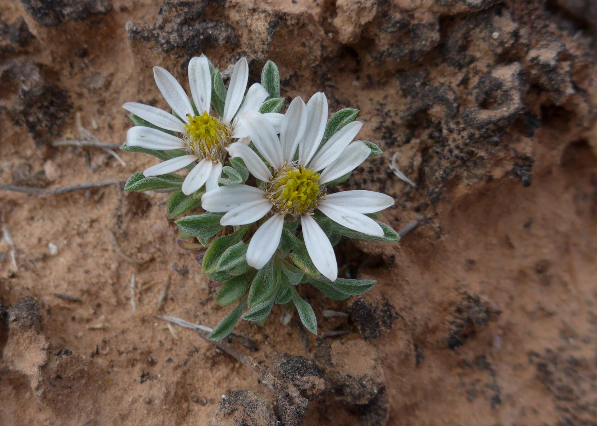 Im20160506pdP1130983sm