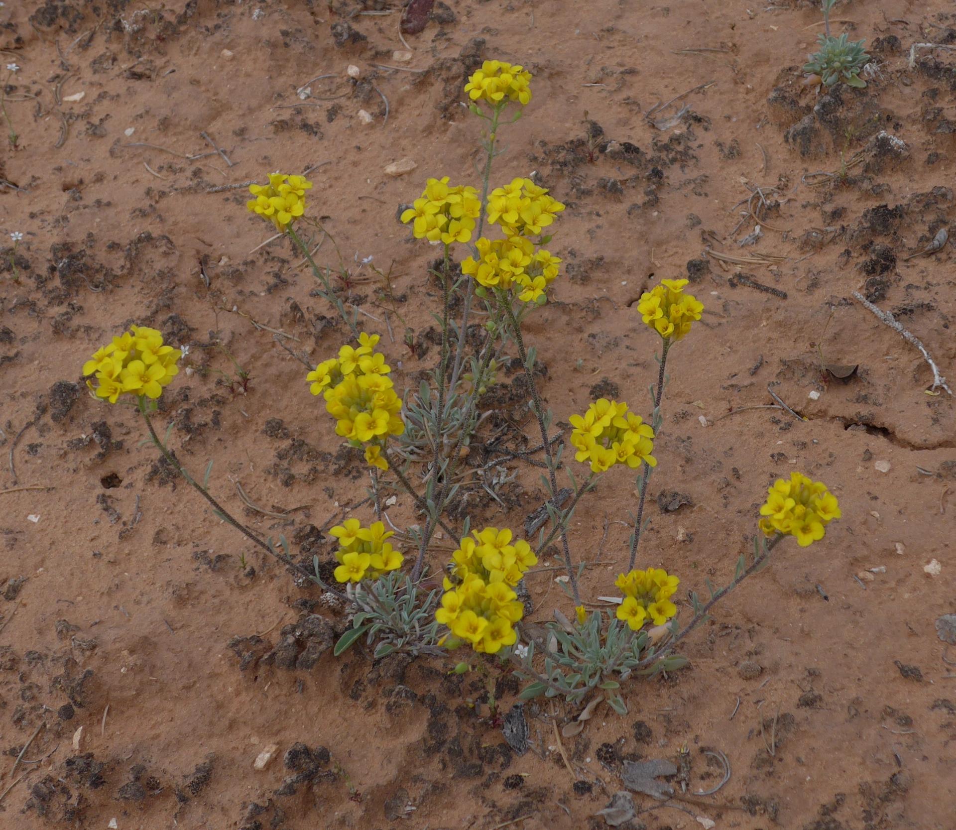 Im20160506pdP1130989sm