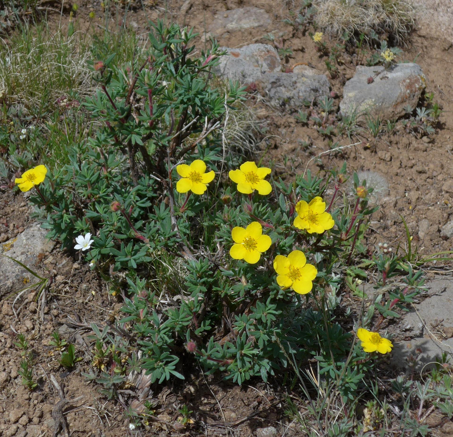 Im20160717pdP1140888sm