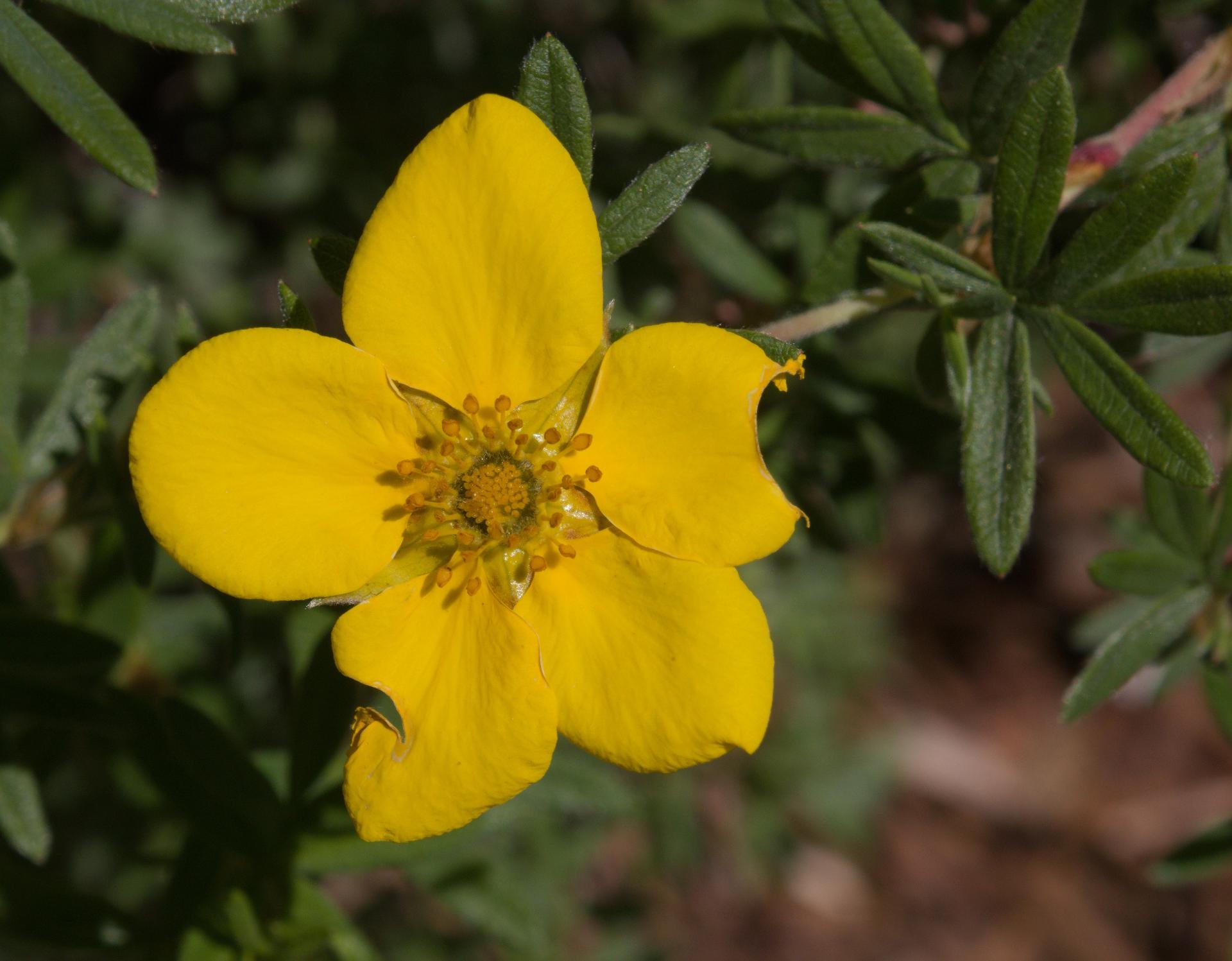 Im20210604rw2P1010907rw2sm