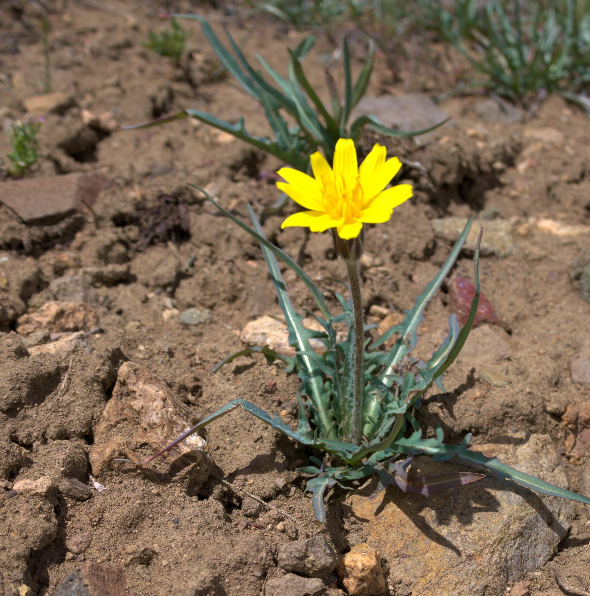 Im20220430P1050480rw2sm