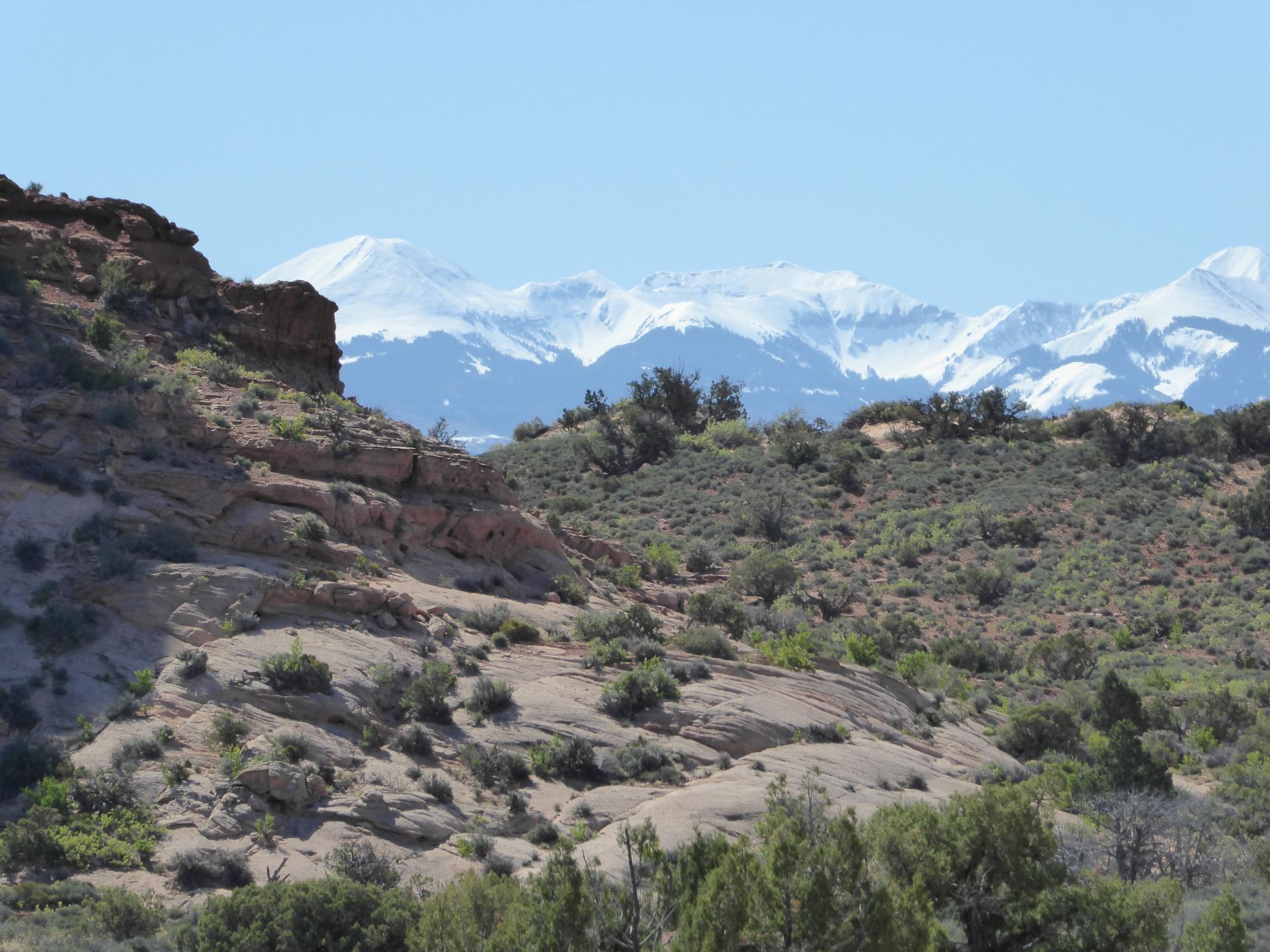 Im20160504pjP1010492