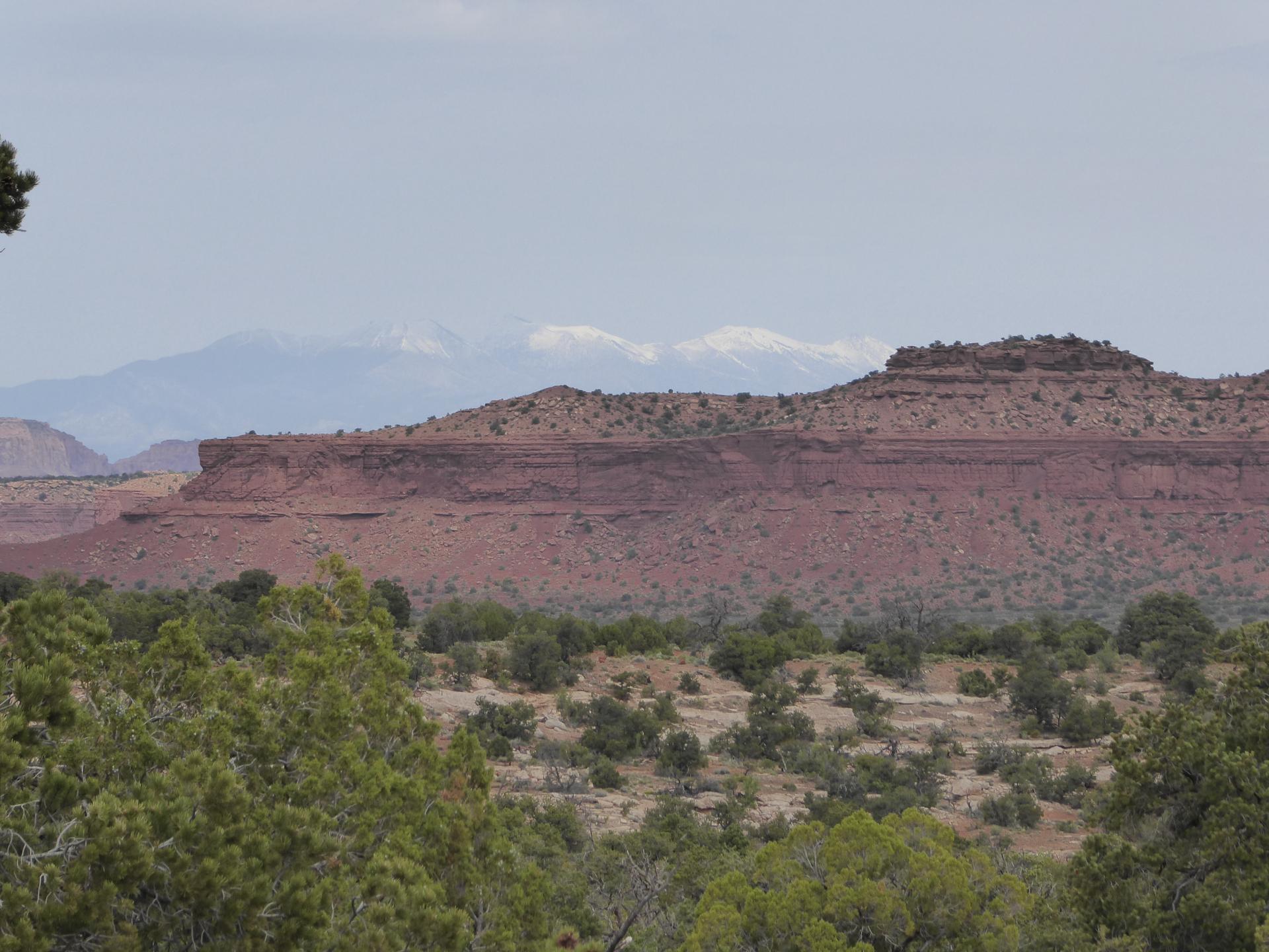 Im20160506pjP1010660