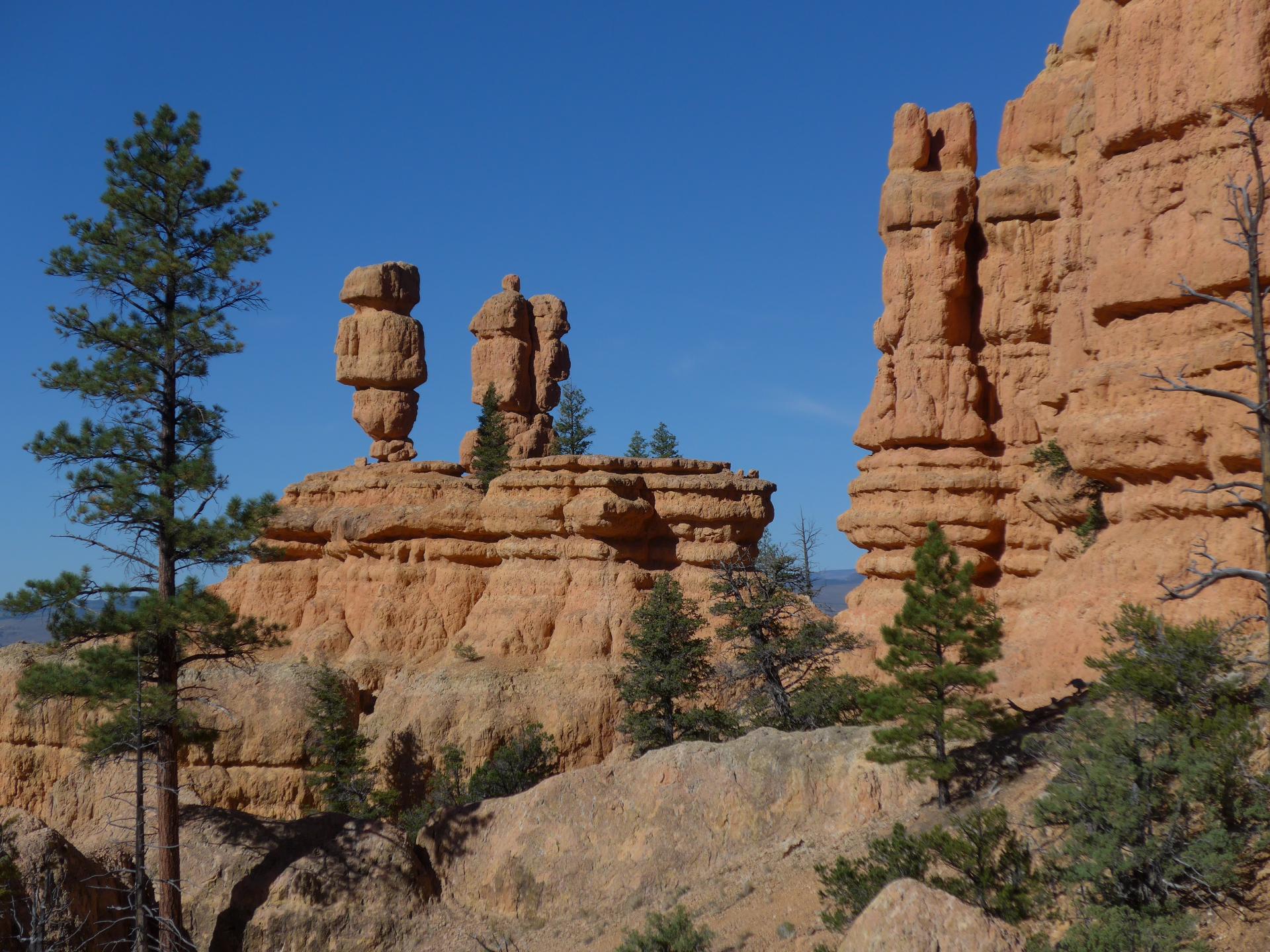 Im20180927pdP1210210