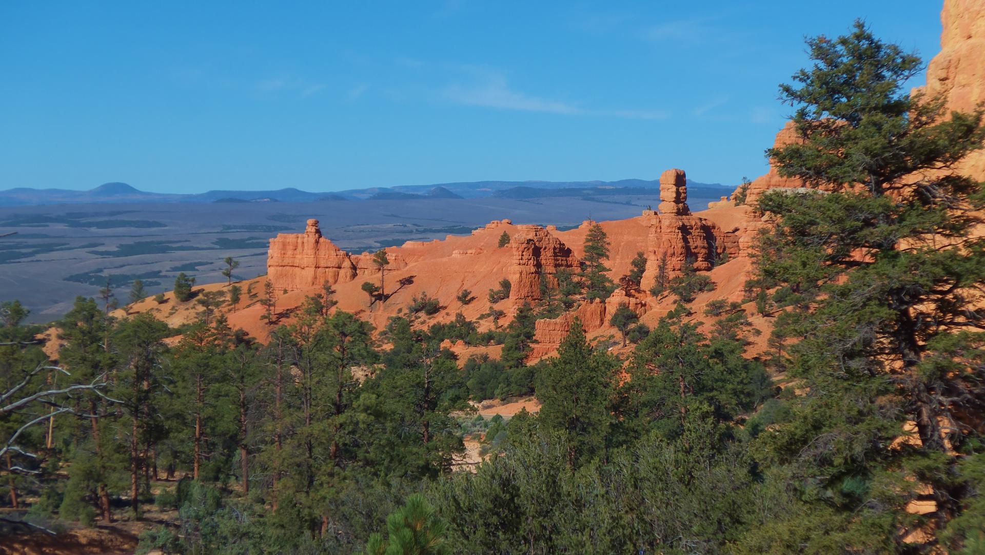 Im20180927rw2P1210188rw2