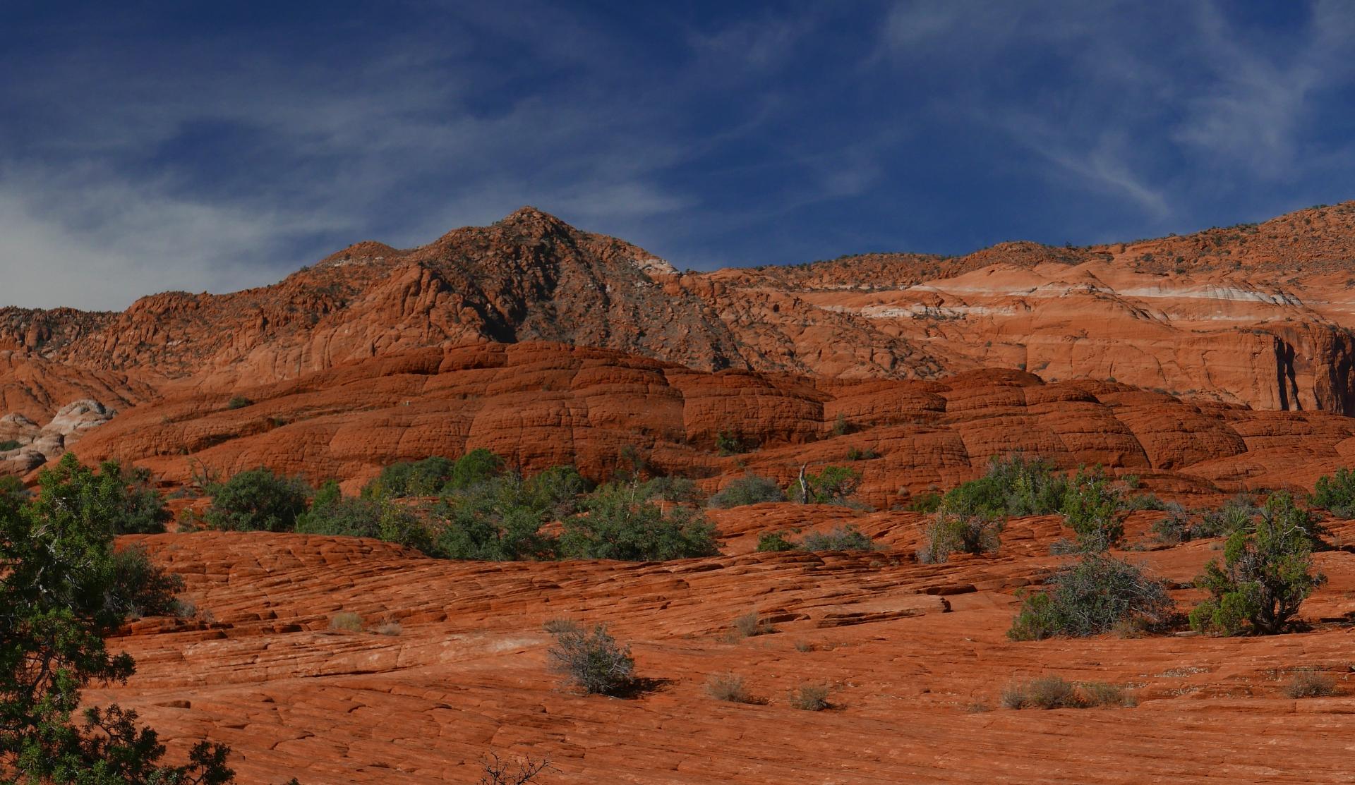 Im20221020oriP1010526