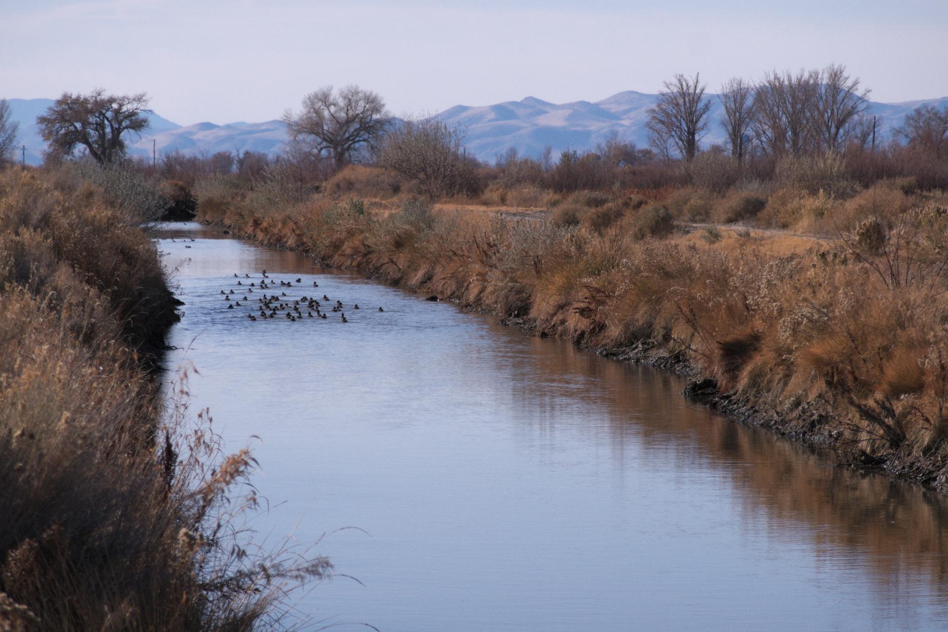 D20201122F1000490rwsm